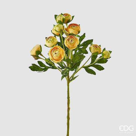 EDG Enzo De Gasperi Ranuncolo Chic H 55 Cm Giallo 1 Pz
