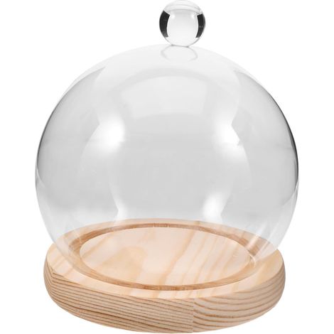 Cloche Verre Transparent avec Socle Bois pour Fleurs Stabilisées Décoration de Bureau (1/5)