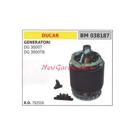 Statore elettrico DUCAR per generatore DG 3000T DG 3000TB 038187 752519