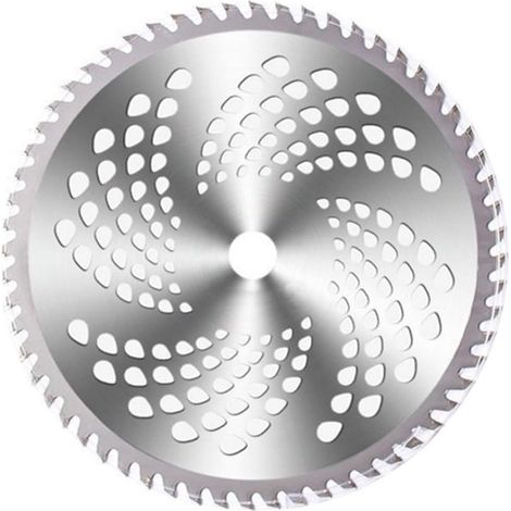 Lot de 2 lames circulaires 10 pouces 60 dents – Acier inoxydable – Pour débroussailleuse à essence et électrique – Coupe nette des broussailles - FIL 3 EN (1/5)