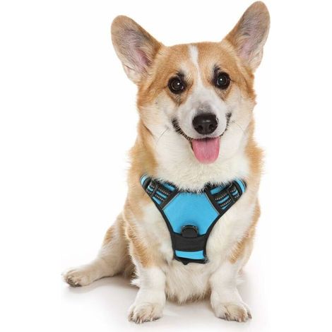 Gilet pour chien antidéflagrant et imperméable, laisse pour animal de compagnie, harnais réfléchissant réglable pour chien, bleu ciel M (1/5)