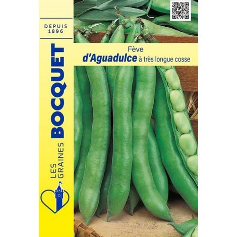 Fève d'Aguadulce longue cosse - 125g
