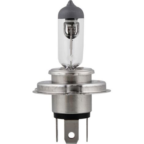 Pure Light H4 (472) Halogen-Scheinwerferlampe, 12 V, 55 W, P43T-Sockel – 1 Ersatz-Autolampe – AquaForge