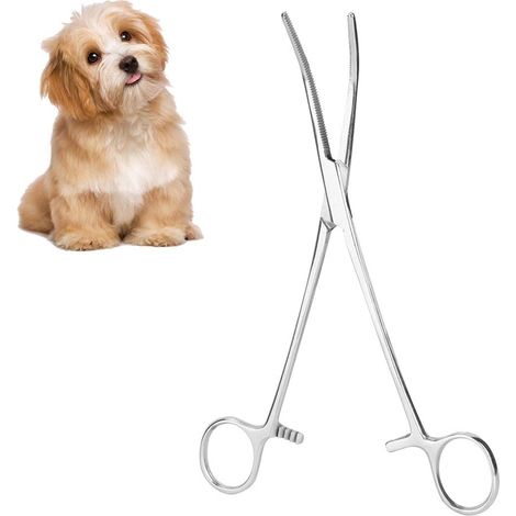 Pinza chirurgica autobloccante – emostatica – cane/gatto – pinza – casa