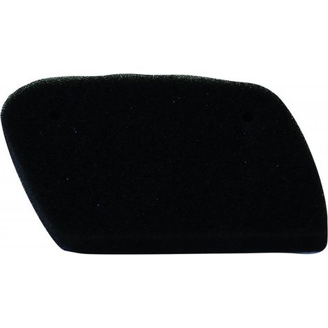 champion luftfilter für roller aprilia 150 leonardo 1996 bis 2002 (1/3)