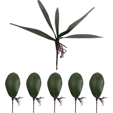 Feuilles artificielles d'orchidée Phalaenopsis, avec de vraies racines, en latex, feuilles artificielles vertes, lot de 6.