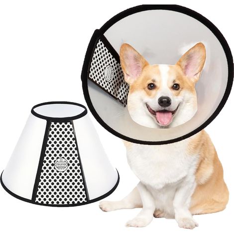 Collare a cono per cani, collari a cono anti-morso, collare protettivo per cuccioli, protezione per il collo conica regolabile (39-43 cm), circa 40 kg (1/5)