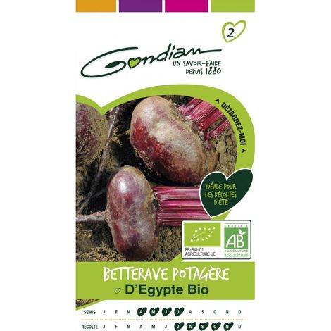 Gondian - betterave potagere d'egypte bio