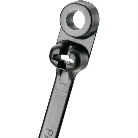 Panduit BC2S-S10-C0 BC2S-S10-C0 Kabelbinder 216 mm 4.70 mm Schwarz mit Befestigungsöse 1 St.