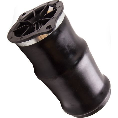 Arrière Pneumatique Luftfeder Air suspension spring For Mercedes Viano Vito W639 (1/5)