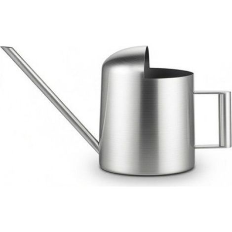 Arrosoir miniature moderne en acier inoxydable, format 300 ml, idéal pour les plantes de table. (1/5)