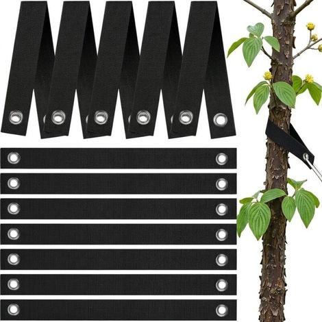 Sangles de fixation pour arbres (lot de 12) avec oeillets métalliques – résistantes, réglables et idéales pour jeunes arbres et protection tempête (1/5)