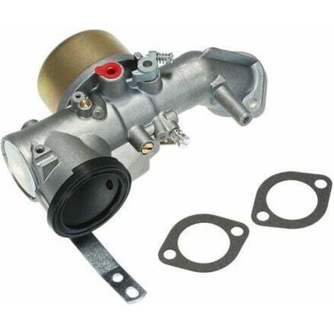 Kit de carburateur avec joint pour moteurs de débroussailleuse Briggs & Stratton 491026 281707 491031 12 hp. (1/5)