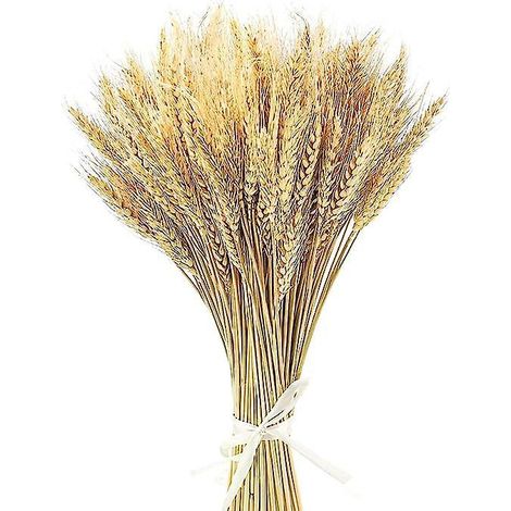 100pcs 60cm Bl Naturel Fleurs Sches Bouquet Fleurs Sches Fleurs Sches Naturelles Dcoration Fleurs Sches Mariage Fleurs Sches Bouquet Chemine Cuisi (1/5)