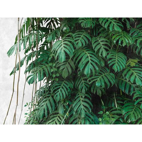 Panoramique Jungle Vert The Wall A.S. Création (1/3)
