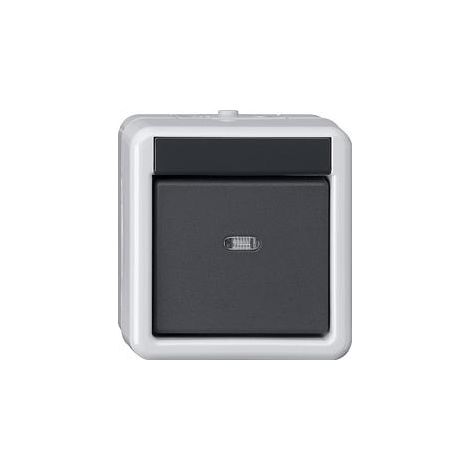 Gira Pulsante-BA 1f Spia + 2-Punti KNX WG AP Grigio [515230], 5152 30