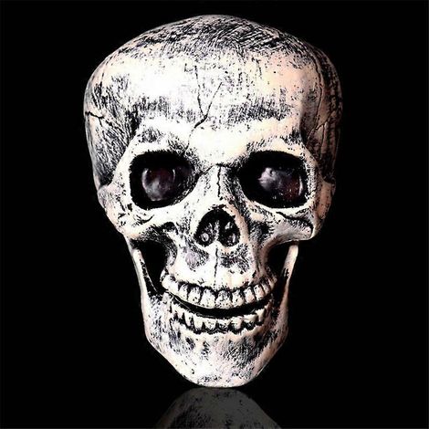 Decoraciones de Halloween, estacas de esqueleto iluminadas con juego de cuervos, con luces LED blancas cálidas, las mejores decoraciones de Halloween para el jardín o el césped exterior.