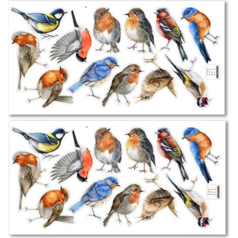 12 Autocollants fenêtre motif oiseau, film anti-collision PVC réutilisable, décoration vitre double face pour maison et bureau (1/5)