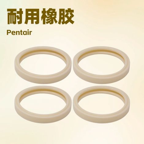 Pentair 79108500 lampshade gasket compatible with 79108600 Aqualight and SpaBrite -- 79108500 small single washer (1/4)