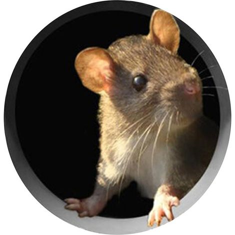 Niedlicher Maus-Wandaufkleber, kreative Küchendekoration (1/5)