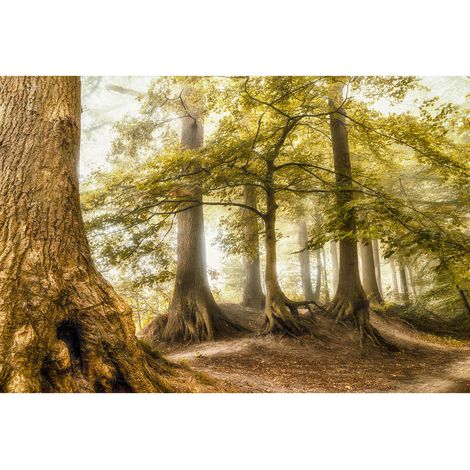 Papier peint panoramique forêt idéal pour salon | Tapisserie panoramique nature original| Papiers peints panoramique arbre pour chambre - 270 x 400 cm (4 pièces) (1/2)