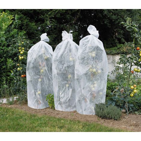Direct Filet – Gaine de croissance pour tomates – Voile de forçage Ø50cm x 15m – Polypropylène non tissé – Anti-UV, résistance 17g/m²