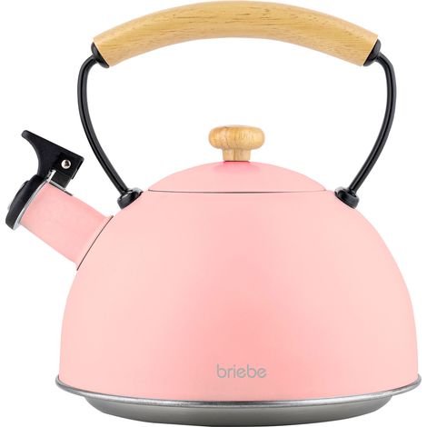 Briebe Pastel Bouilloire à Induction Théière Sifflet 2,3L  Acier Inox. Retro, Poignée en Bois  Rose (1/5)