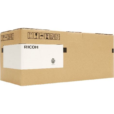 Ricoh D1589640 stampante di sviluppo