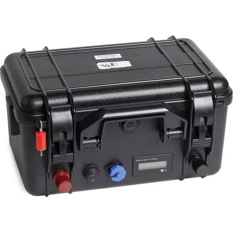 Batteria ioni di litio a valigetta FPL 12-100 12V 100Ah