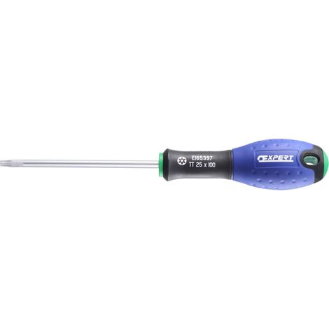 Cacciavite TT25x100 E165397