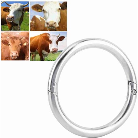 [Rinderring] Nasenring aus rostfreiem Edelstahl für Bullen und Kühe (Länge: 7,7 cm), Zubehör für Nutztiere