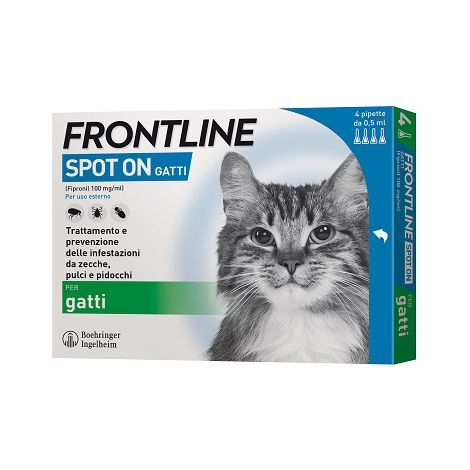 FRONTLINE SPOT-ON GATTI 3 PIPETTE- FRONTLINE- 1,0 pz