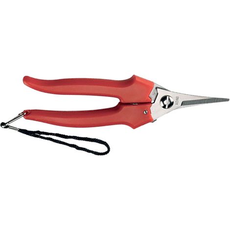 FORBICI COGLIUVA 'LAME STRETTE' art. 31329 - cm 19- 6 pezzi - AUSONIA