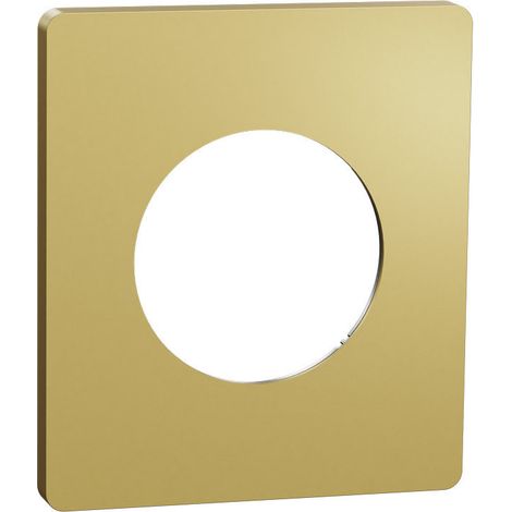 Plaque Odace Laiton Architecte 1 poste (S932802) (1/3)