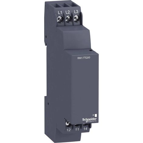 Schneider Electric RM17TG00 Relè Nero 208-480 V (1/2)