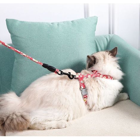 Laisse et Harnais Réglable pour Chat – Sécurité Optimale pour Balade en Extérieur – Confort Doux pour Chaton et Adulte – Couleur Marine (1/5)