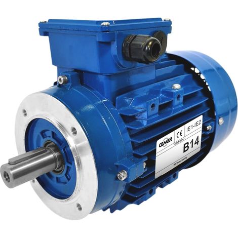 Moteur électrique Triphasé 230/triphasé 400v 3 Kw 3000 Tr/min  - Ms100l12b14 Bride B14 - Bobinage Cuivre (1/4)