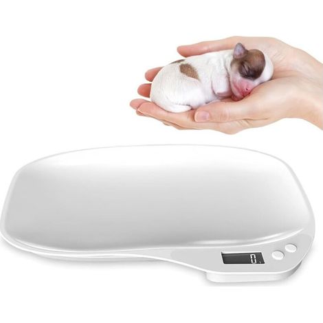 Balance numérique pour petits animaux : Balance pour animaux de compagnie, balance pour nourriture, balance pour bébé, LCD numérique, balance pour chats avec 4 modes de pesée (kg/oz/lb/ml) pour (1/4)