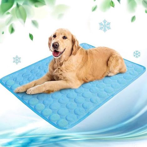 Portable self-cooling pet mat for dogs and cats - Durable, scratch-resistant - Blue - 100x7 BASKET (1/5)