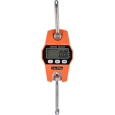 Peson électronique 300kg – Balance crochet suspendu avec écran LCD rétroéclairé – Précision OIML III – Utilisation industrielle - 600lbs (1/4)