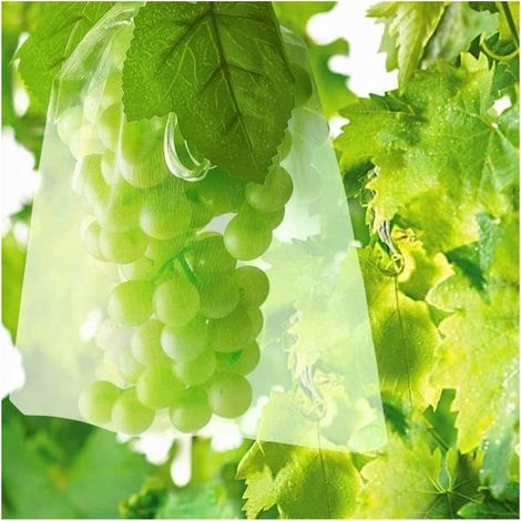 Sac de Protection pour Grappes de Raisins - 100 Sacs Filets - Taille 30 x 20 cm - Vert