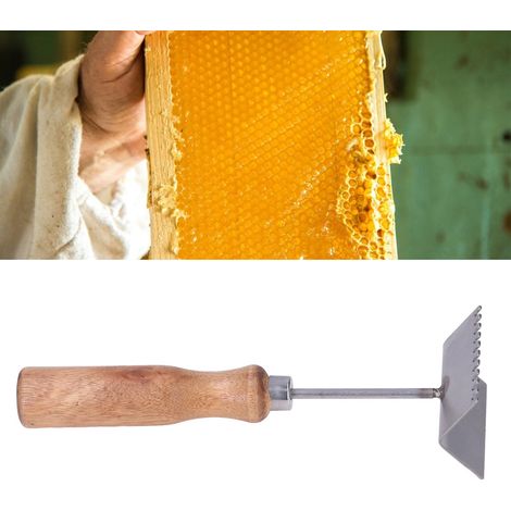 Panneaux alvéolés en acier inoxydable, pelles de nettoyage de cadres de ruche, étagères de nettoyage pour apiculture, lames de scie, matériel apicole (1/5)