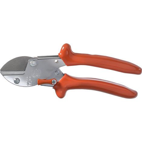 Loewe-Petit Pruner (1/4)
