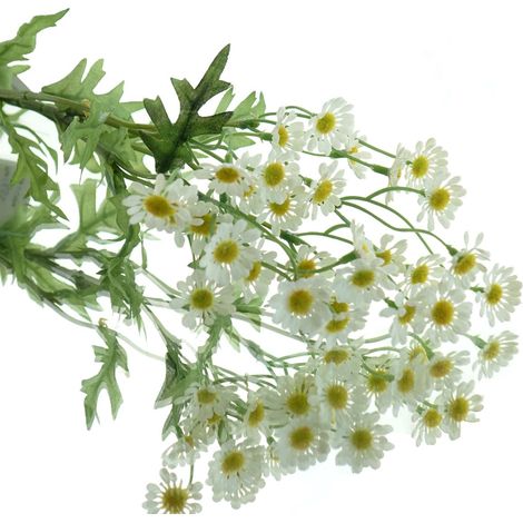 GASPER Kamille weiß ca. 59 cm - Kunstblumen (1/2)