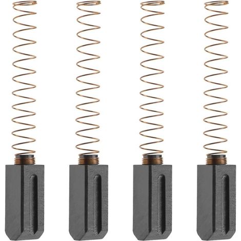 2 paires de Balais de Charbon Remplacement Compatible avec TRIAC S 1G3 CH-6060 Lance à Air Outils Électriques Accessoires, 5x6x14mm (1/4)