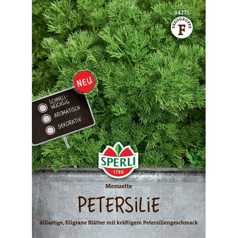 Sperli Petersilie Menuette - Kräutersamen (1/2)