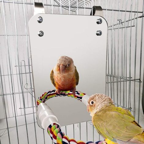 Support pour oiseaux en acier inoxydable, balançoire pour perroquet, jouet pour cage, coton pour oiseaux (1/5)