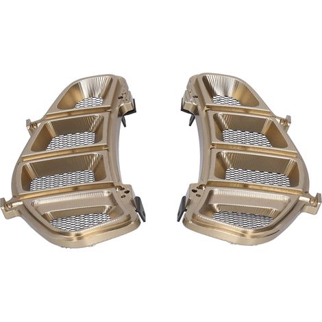 Paire de grilles de protection de radiateur pour moto Piaggio Vespa GTS 250/300 (2013-2020) (1/5)