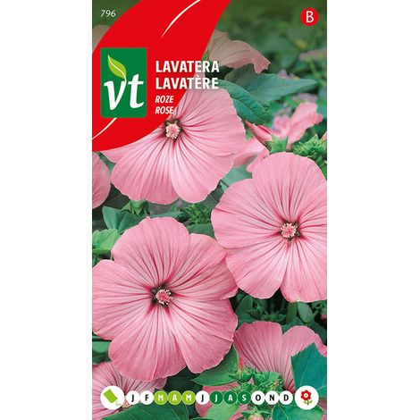 Lavatère Rose - Ca. 0,75 gr (Livraison Gratuite)