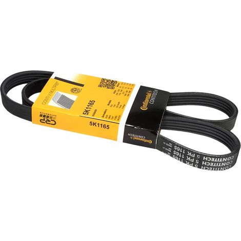 Cinghia multi-nervata CONTITECH 5 PK 1165 (1/4)